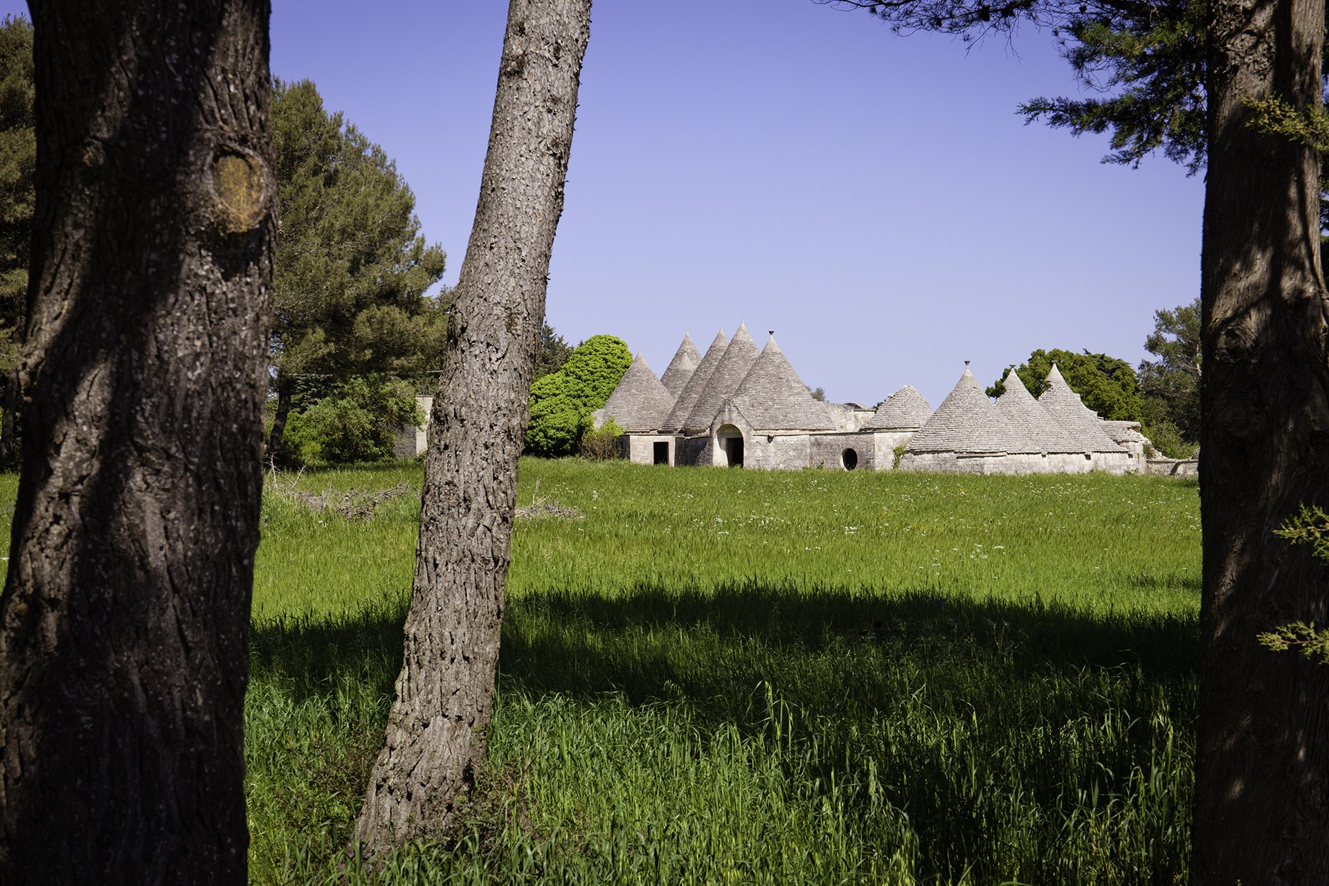 Areas of Puglia Puglia region guide The Thinking Traveller